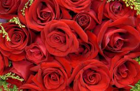 媒体提醒 玫瑰是红色 紫罗兰是蓝色 糖是甜美的 但是要交税吗
