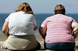 研究人员认为  肥胖的迅速增加不是由于遗传 点击了解