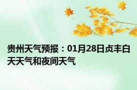 贵州天气预报：01月28日贞丰白天天气和夜间天气