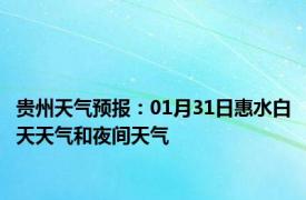 贵州天气预报：01月31日惠水白天天气和夜间天气