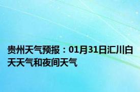 贵州天气预报：01月31日汇川白天天气和夜间天气