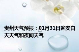 贵州天气预报：01月31日瓮安白天天气和夜间天气