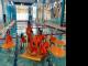 金鱼游泳学校在2021年报告了创纪录的表现和巨大的增长