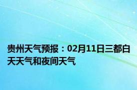 贵州天气预报：02月11日三都白天天气和夜间天气