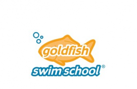 金鱼游泳学校结束了鼓舞人心的梦想大小鱼运动