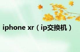 iphone xr（ip交换机）