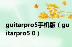 guitarpro5手机版（guitarpro5 0）