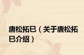 唐松拓巳（关于唐松拓巳介绍）