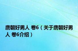 唐朝好男人 卷6（关于唐朝好男人 卷6介绍）