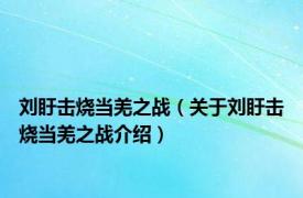 刘盱击烧当羌之战（关于刘盱击烧当羌之战介绍）