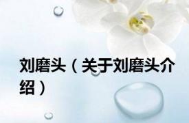 刘磨头（关于刘磨头介绍）