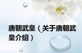 唐朝武皇（关于唐朝武皇介绍）