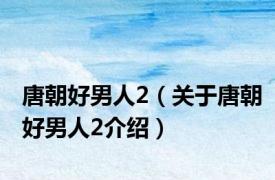 唐朝好男人2（关于唐朝好男人2介绍）