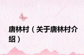 唐林村（关于唐林村介绍）