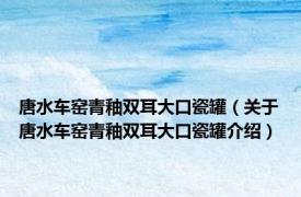 唐水车窑青釉双耳大口瓷罐（关于唐水车窑青釉双耳大口瓷罐介绍）