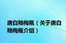 唐白釉梅瓶（关于唐白釉梅瓶介绍）