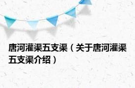 唐河灌渠五支渠（关于唐河灌渠五支渠介绍）