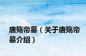 唐殇帝墓（关于唐殇帝墓介绍）