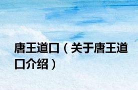 唐王道口（关于唐王道口介绍）