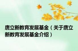 唐立新教育发展基金（关于唐立新教育发展基金介绍）