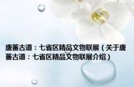唐蕃古道：七省区精品文物联展（关于唐蕃古道：七省区精品文物联展介绍）