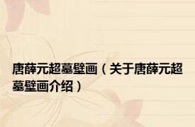唐薛元超墓壁画（关于唐薛元超墓壁画介绍）