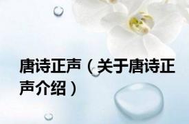 唐诗正声（关于唐诗正声介绍）