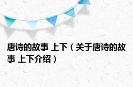 唐诗的故事 上下（关于唐诗的故事 上下介绍）