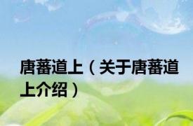 唐蕃道上（关于唐蕃道上介绍）
