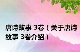 唐诗故事 3卷（关于唐诗故事 3卷介绍）