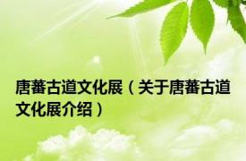 唐蕃古道文化展（关于唐蕃古道文化展介绍）