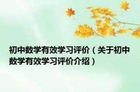 初中数学有效学习评价（关于初中数学有效学习评价介绍）