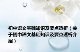 初中语文基础知识及要点透析（关于初中语文基础知识及要点透析介绍）