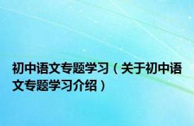 初中语文专题学习（关于初中语文专题学习介绍）