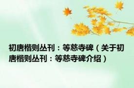 初唐楷则丛刊：等慈寺碑（关于初唐楷则丛刊：等慈寺碑介绍）