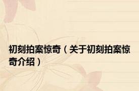 初刻拍案惊奇（关于初刻拍案惊奇介绍）