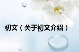 初文（关于初文介绍）