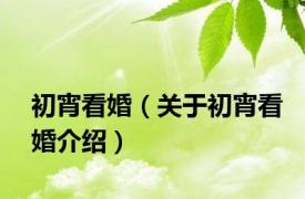 初宵看婚（关于初宵看婚介绍）