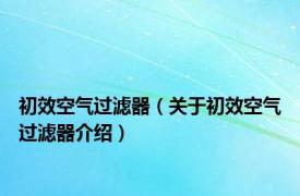 初效空气过滤器（关于初效空气过滤器介绍）