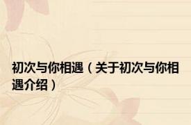 初次与你相遇（关于初次与你相遇介绍）