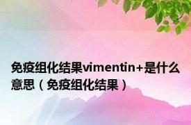 免疫组化结果vimentin+是什么意思（免疫组化结果）