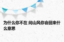为什么你不在 问山风你会回来什么意思