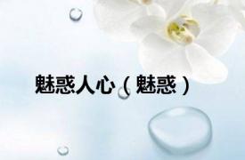 魅惑人心（魅惑）