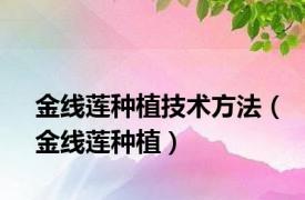 金线莲种植技术方法（金线莲种植）