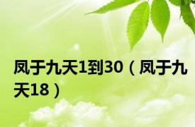 凤于九天1到30（凤于九天18）