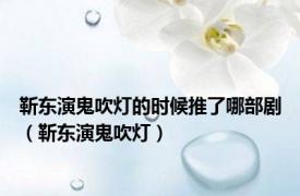 靳东演鬼吹灯的时候推了哪部剧（靳东演鬼吹灯）