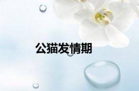 公猫发情期