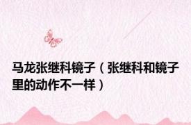 马龙张继科镜子（张继科和镜子里的动作不一样）