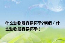 什么动物最容易怀孕?刺猬（什么动物最容易怀孕）