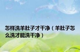 怎样洗羊肚子才干净（羊肚子怎么洗才能洗干净）